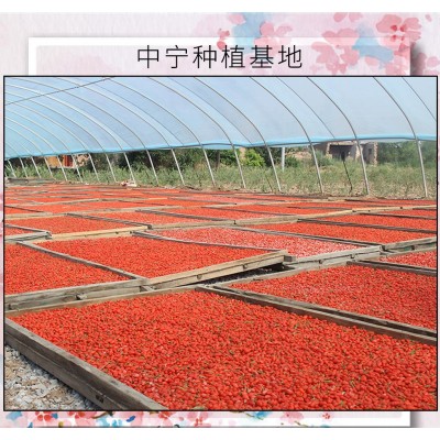 宁夏枸杞子中药材红枸杞大量枸杞大货批发散装250g厂家批发代发图3