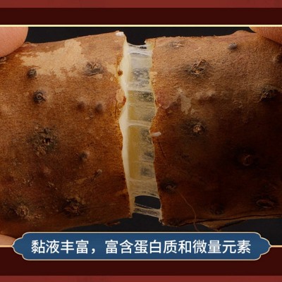 河南焦作温县 铁棍山药 新鲜铁杆怀山药 河南批发图4