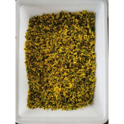 地珠牌 菊花 花茶 500克图2