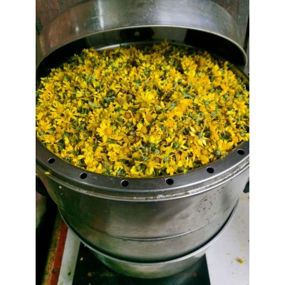 地珠牌 菊花 花茶 500克图4
