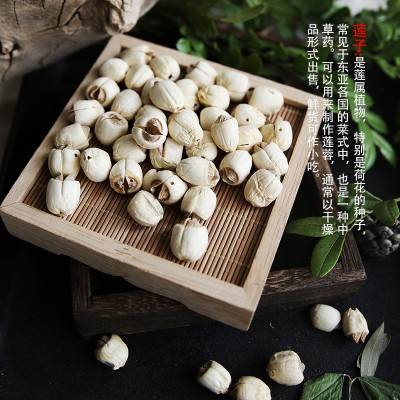 白莲子新货 批发大货 磨皮有芯湘莲寸三莲子 产地直供一手货源图2