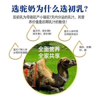 新疆驼奶初乳益生菌配方驼乳粉青少年中老年骆驼奶粉批发一件代发图5