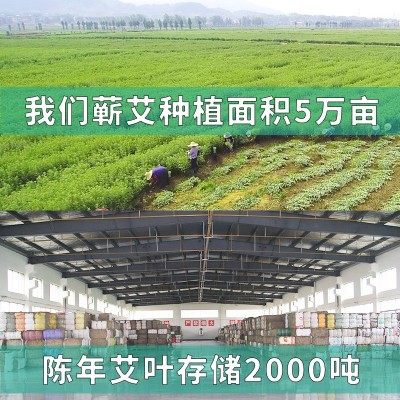 10:1蕲春蕲艾柱五年陈温灸家用纯艾柱批发妇科艾灸条艾草条艾条图3