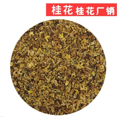 厂家直供 产地批发 桂花茶 干桂花 桂花干花 散装 W4 不硫熏 桂花图2