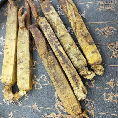 中药材 高丽参 黄马褂高丽参 产地货源 量大价优图3