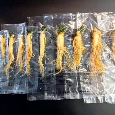 产地批发长白山保鲜参 土参泡酒 鲜人参 泡酒料 东北人参会销礼品图5