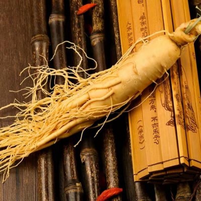 产地批发长白山保鲜参 土参泡酒 鲜人参 泡酒料 东北人参会销礼品图2