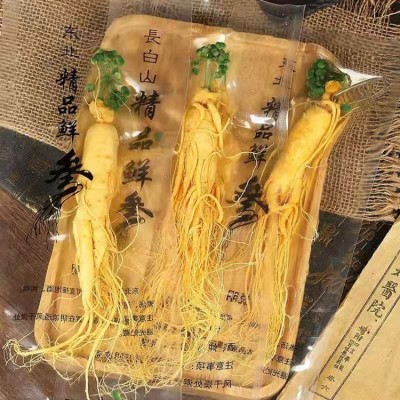 产地批发长白山保鲜参 土参泡酒 鲜人参 泡酒料 东北人参会销礼品图3