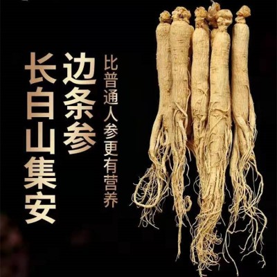 批发东北吉林长白山人参 干货圆参滋补白参整枝生晒参煲汤泡酒料