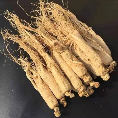 批发东北吉林长白山人参 干货圆参滋补白参整枝生晒参煲汤泡酒料图5