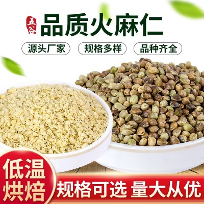 批发火麻仁、去壳火麻仁、色选火麻仁,、各种规格火麻仁