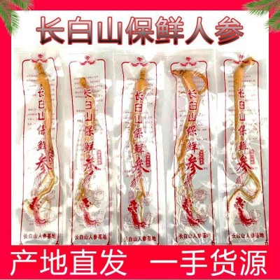 产地批发保鲜人参袋装鲜人参泡酒人参会销礼品人参赠品地推产品