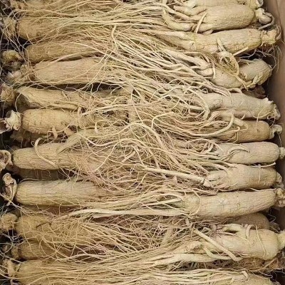 长白山人参生晒参 整枝 产地批发东北特产煲汤炖鸡打粉人参干货图3