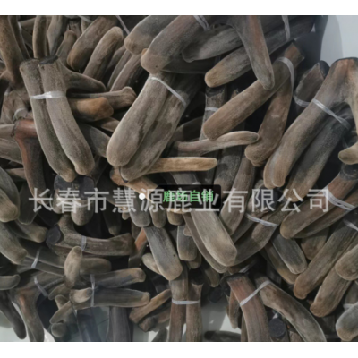 长春市慧源鹿业养殖场批发梅花鹿茸 整枝二杠茸 鹿茸片 鹿茸粉图2
