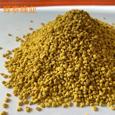 纯油菜蜂花粉原粉颗粒非破壁青海油菜花粉大颗粒蜂花粉500g/瓶