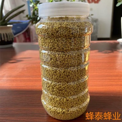 纯油菜蜂花粉原粉颗粒非破壁青海油菜花粉大颗粒蜂花粉500g/瓶图2