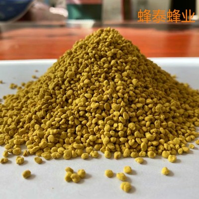 纯油菜蜂花粉原粉颗粒非破壁青海油菜花粉大颗粒蜂花粉500g/瓶图4
