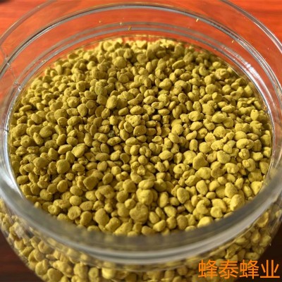 纯油菜蜂花粉原粉颗粒非破壁青海油菜花粉大颗粒蜂花粉500g/瓶图3