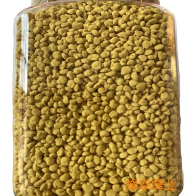 纯油菜蜂花粉原粉颗粒非破壁青海油菜花粉大颗粒蜂花粉500g/瓶图5