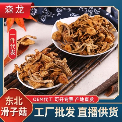 森龙东北山货滑子菇袋装250g食用菌干货厂家批发滑子蘑风干蘑菇