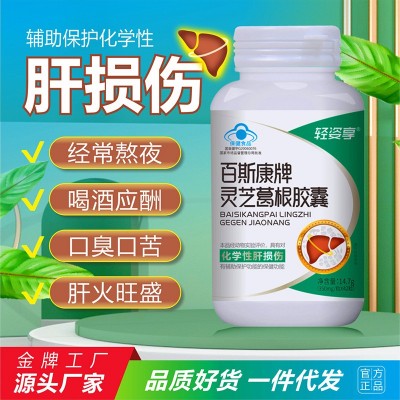 护肝 现货 灵芝葛根胶囊 非护肝茶蓝帽 养肝化学性肝损正品批发