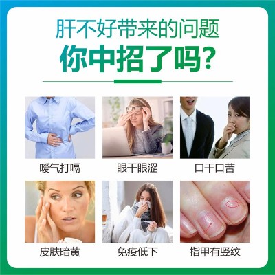 护肝 现货 灵芝葛根胶囊 非护肝茶蓝帽 养肝化学性肝损正品批发图2