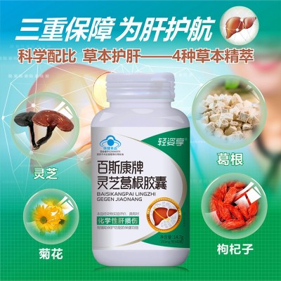 护肝 现货 灵芝葛根胶囊 非护肝茶蓝帽 养肝化学性肝损正品批发图3