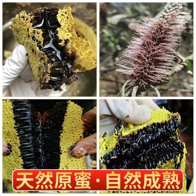 源头工厂云南边境野蜂米团花 黑蜂蜜高原特产黑蜜原蜜黑蜂中蜂图2