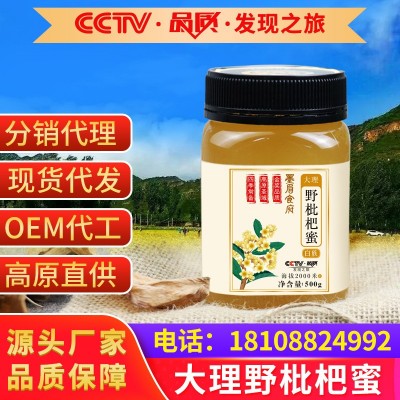 抖音热门直播爆款源头蜂场天然云南高原农家批发土特产中蜂枇杷蜜图2