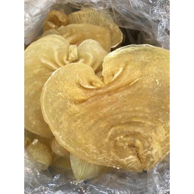 鱼胶(白鲨赤嘴胶，规格每只0.6斤左右）
