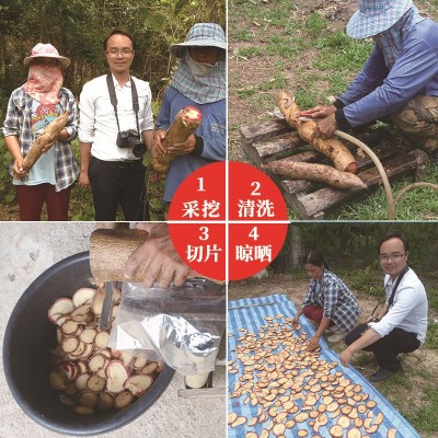 泰国艳紫铆红葛根干片男性保养用品可泡茶泡酒红高颗葛根原片批发图3