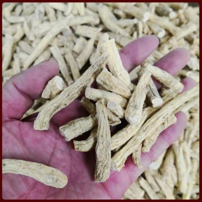 德誉堂药业西洋参条 散装花旗参段 长白山西洋参 中药材批发图1