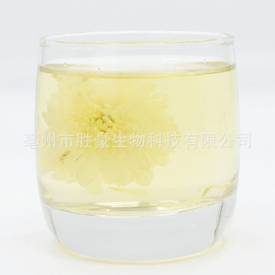 胜豪批发花草茶花茶/菊花七月菊早菊黄山菊花白菊花厂家直销图5