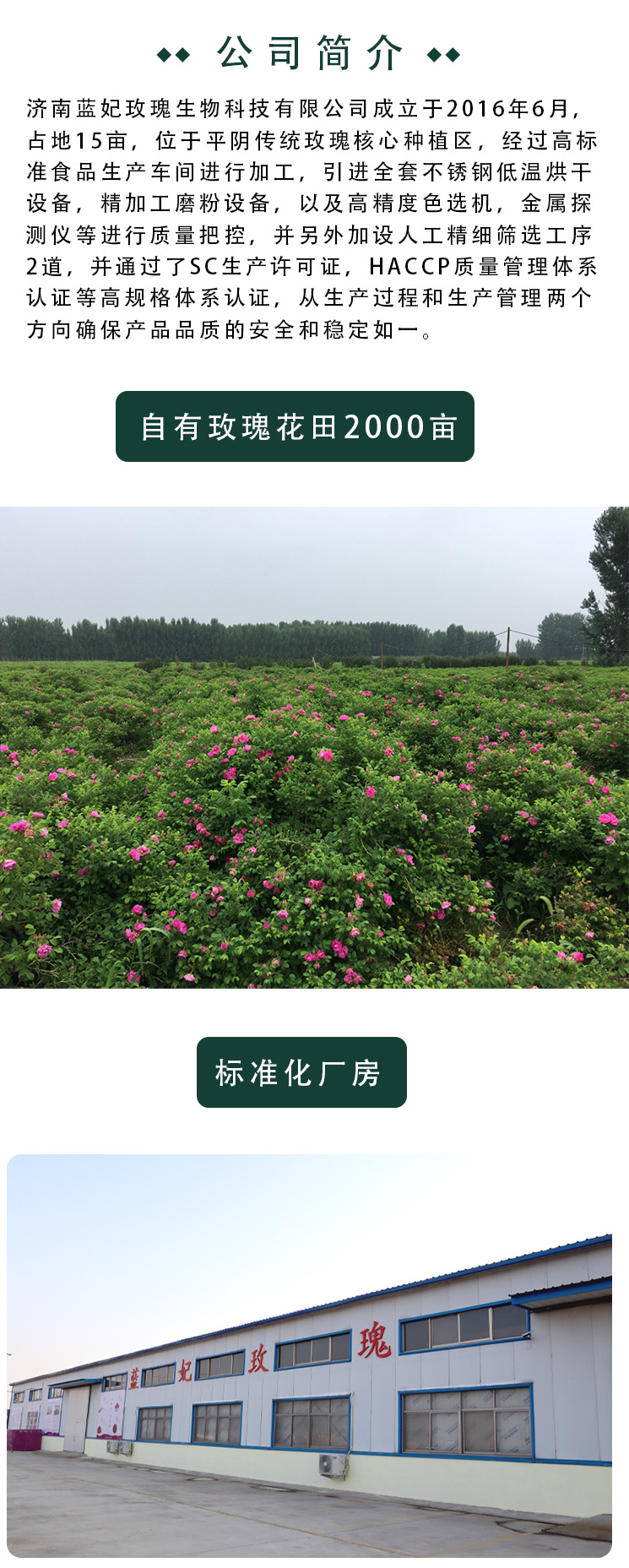 花蕾50g_05