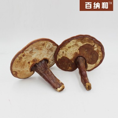 【百纳和】厂家直销 长白山灵芝种植林芝赤灵芝带粉灵芝 带粉灵芝图2