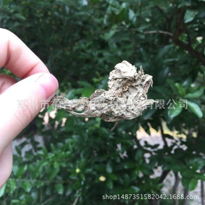中药材艾叶 野艾草批发 泡脚包原料艾叶熏蒸泡澡端午艾嵩产地直销图3