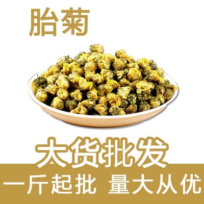 胎菊散装批发 胎菊 桐乡胎菊 菊花茶花草茶量大从优图1