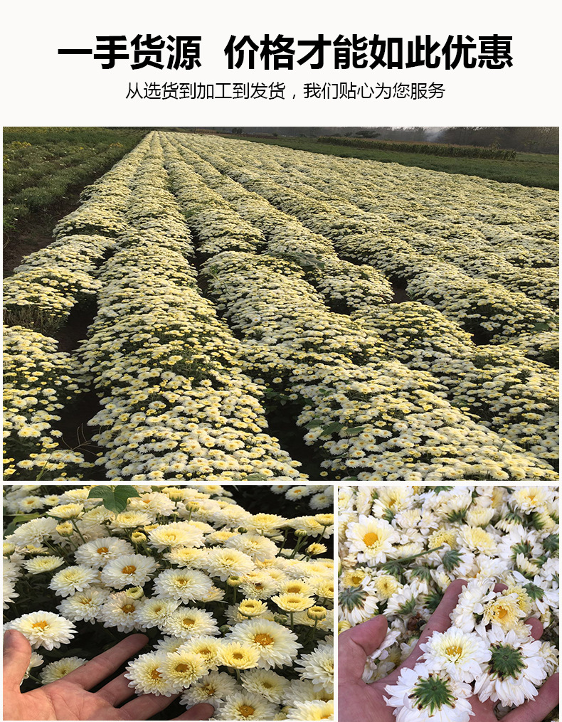 终结者详情1号_01