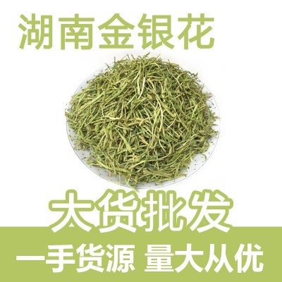 湖南金银花批发 金银花茶散装oem 新货山银花 河南封丘金银花大货图1