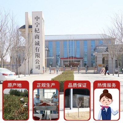 产地 2022新货 枸杞子宁夏中宁特级枸杞500g红枸杞批发图4