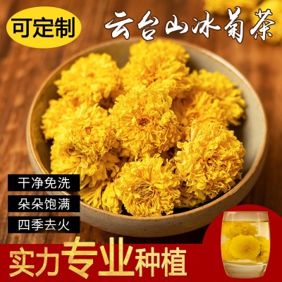 菊花冰菊驰菊花茶怀菊花韵级河南游念焦作特云台山露批发灵青