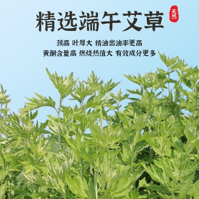 豫喜艾30:1艾柱 南阳艾陈年金艾绒非无烟家用随身灸 厂家现货批发图3