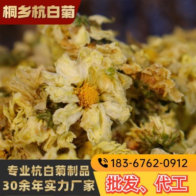 桐乡钱林菊厂 新货杭白菊朵花娃娃菊 散装批发杭菊花原料菊沫现货图3