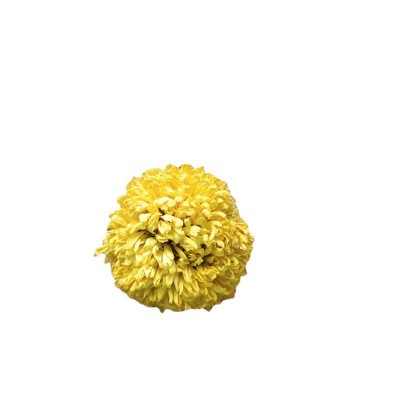 上枝批发婺源皇菊 菊花茶 黄菊花 黄菊 乒乓球菊 球菊一朵一杯图4