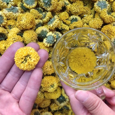 上枝批发婺源皇菊 菊花茶 黄菊花 黄菊 乒乓球菊 球菊一朵一杯图3