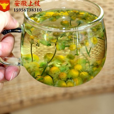 批发 洋甘菊 2020新货 洋甘菊 各种花茶批发 零售 上枝供应图3