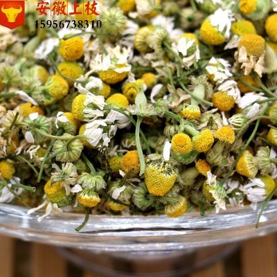 批发 洋甘菊 2020新货 洋甘菊 各种花茶批发 零售 上枝供应图2