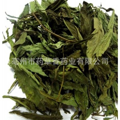 批发供应甜菊叶 花茶级别甜菊叶 大货批发甜菊叶批发图4