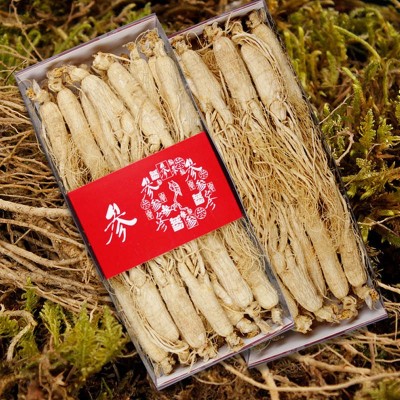 长白山干人参东北原皮白参吉林生晒参大支一斤装白参全须500g干参图1