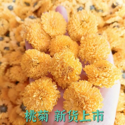 金丝皇菊批发黄山白菊七月菊婺源黄菊一朵一杯桃菊500g新货黄菊花图4